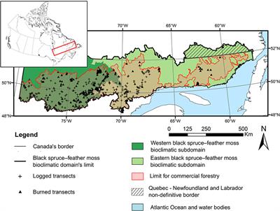 Compared to Wildfire, Management Practices Reduced Old-Growth Forest Diversity and Functionality in Primary Boreal Landscapes of Eastern Canada